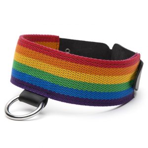 Bondage Boutique Rainbow and Leather Collar - Sex Toys