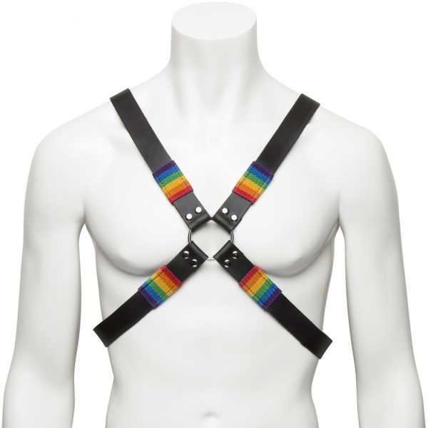 Bondage Boutique Rainbow and Leather Harness - Sex Toys