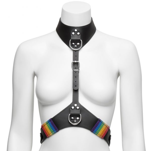 Bondage Boutique Rainbow and Leather Harness with Collar - Sex Toys