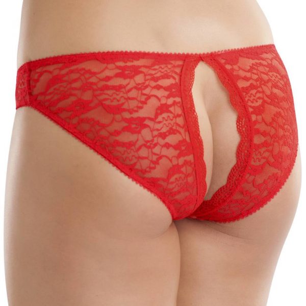 Lovehoney Red Lace Open Back Briefs - Sex Toys