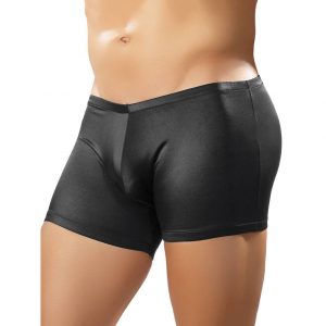 Male Power Shiny Spandex Trunk Shorts - Sex Toys