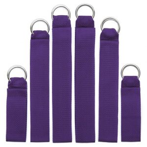 Purple Reins Bondage Straps (6 Pieces) - Sex Toys